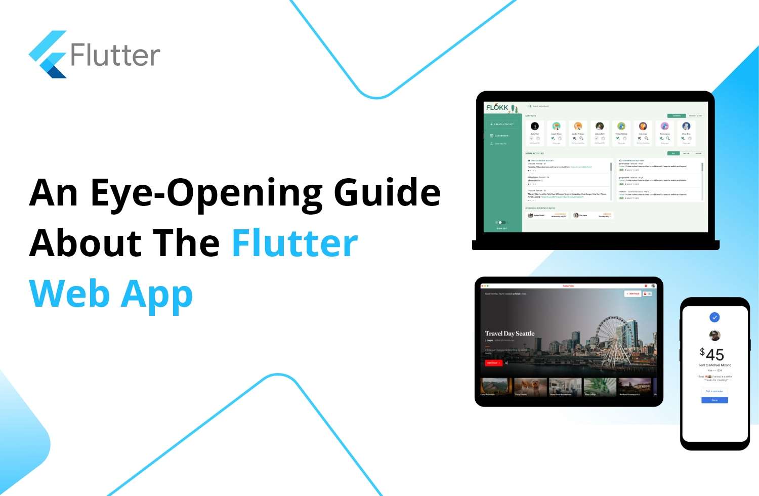 flutter web app development